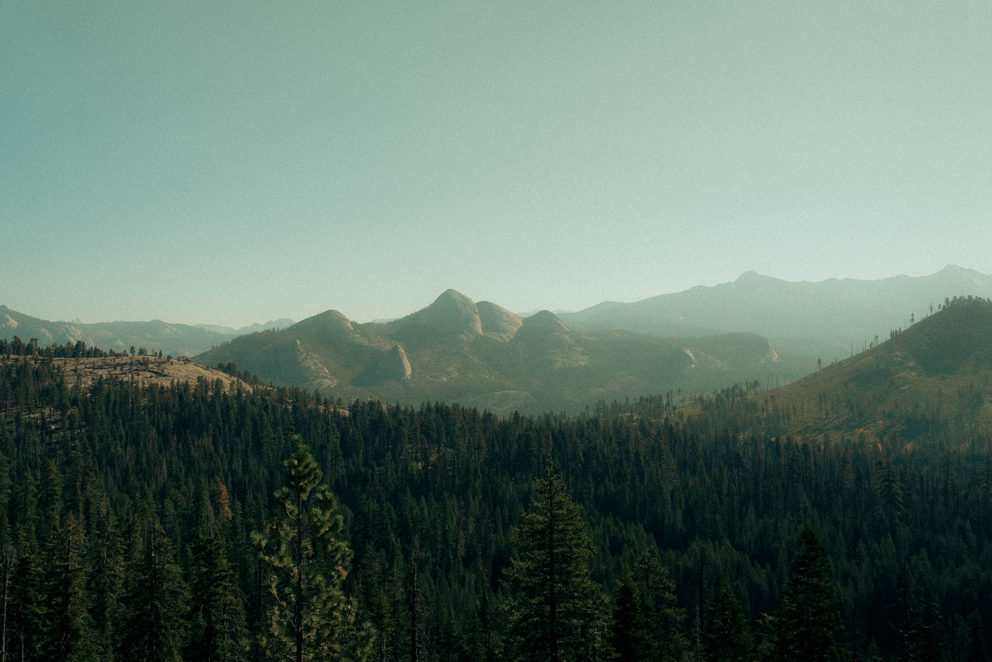 California Tones | EMDR Preset Pack